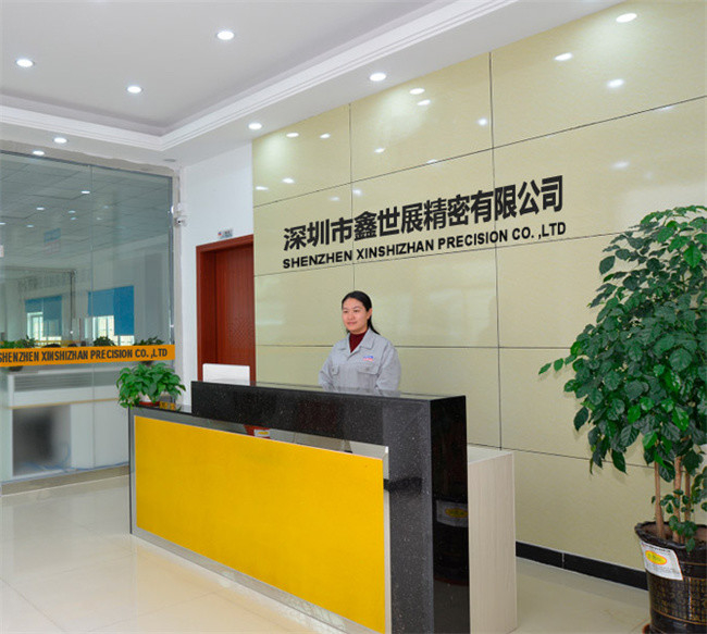 Chine Xinshizhan Precision Co., Ltd. Profil de la société